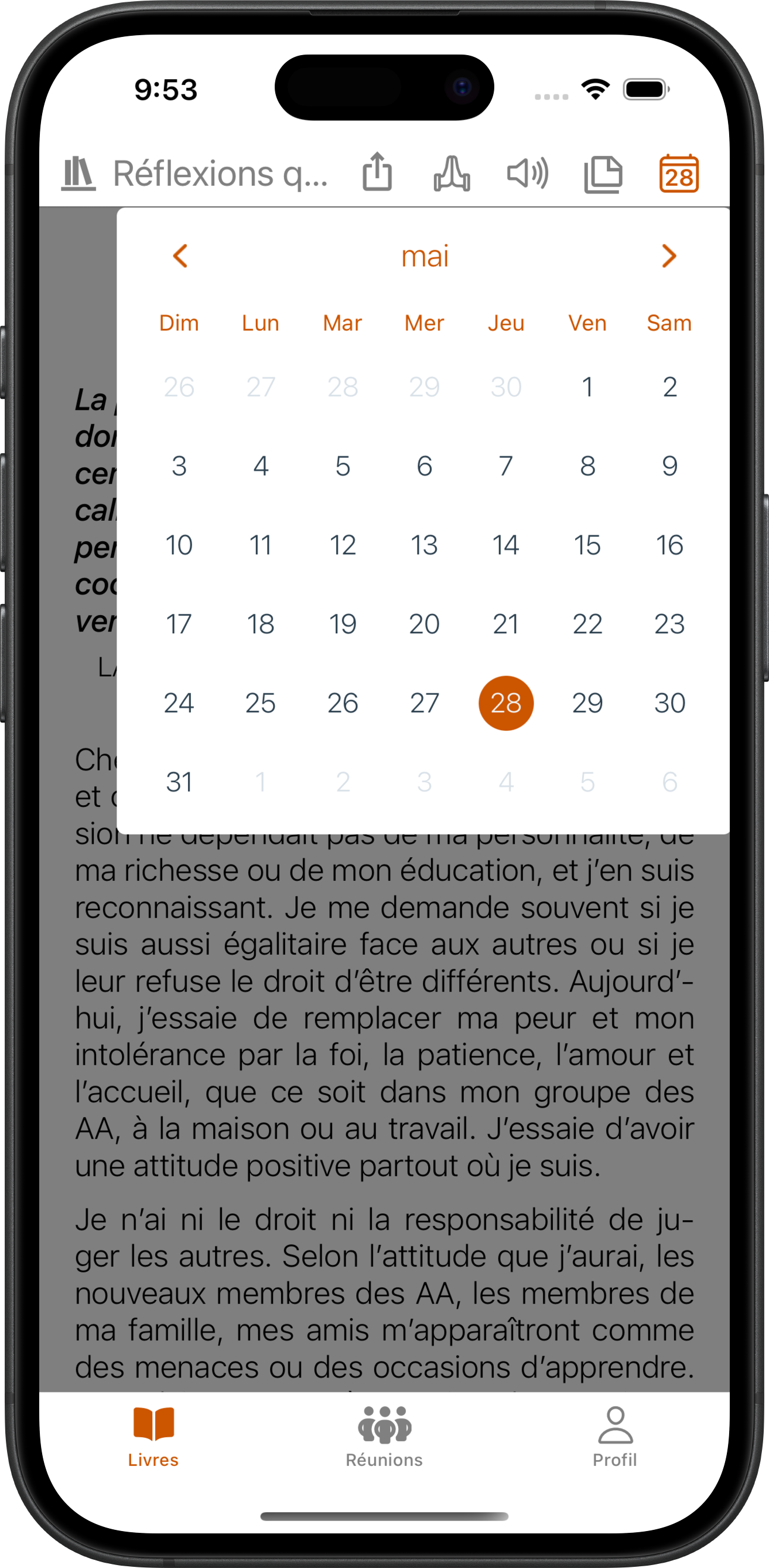 Calendrier des Réflexions quotidiennes sur iPhone dans SoberHub — n'importe quel jour de l'année
