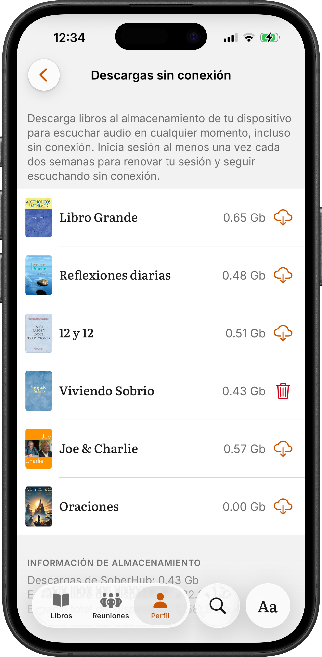 La pantalla Descargas sin conexión de SoberHub: el audio de cada libro con su tamaño y un botón de descarga