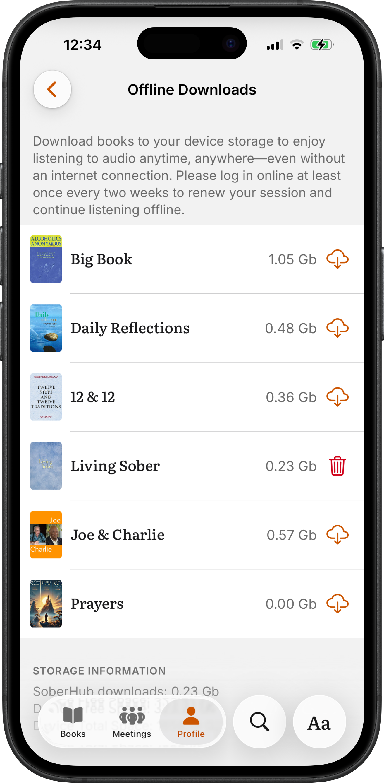 SoberHub's Offline Downloads screen: each book's audio with its size and a download button