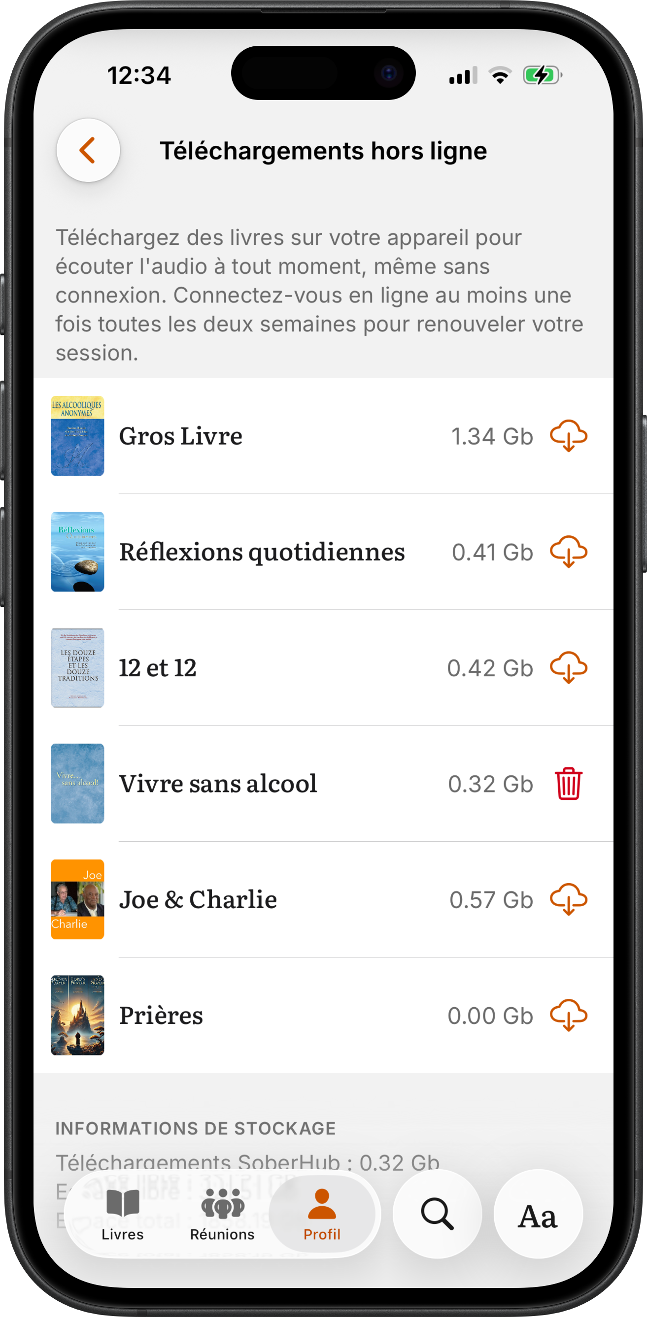 L'écran Téléchargements hors ligne de SoberHub : l'audio de chaque livre avec sa taille et un bouton de téléchargement