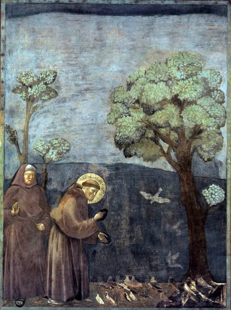 Giotto di Bondone’s fresco of St. Francis preaching to the birds, Upper Basilica of San Francesco, Assisi
