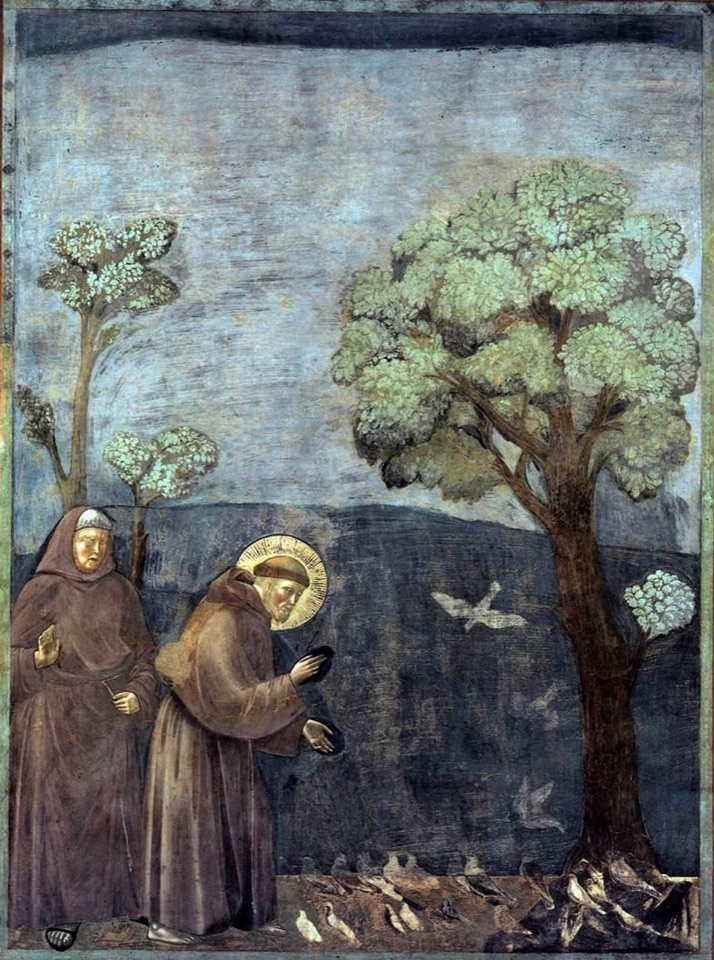 Giotto di Bondone, Legend of St Francis, Scene 15: Sermon to the Birds (c. 1297–1300)