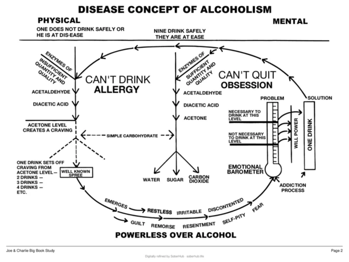 Joe and Charlie Big Book Study - Complete Worksheets and Handouts Preview